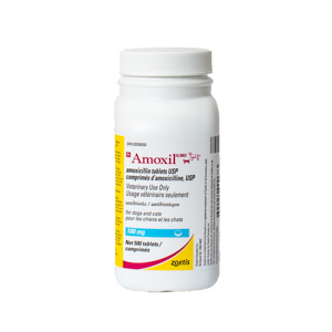 Amoxicillin online canada