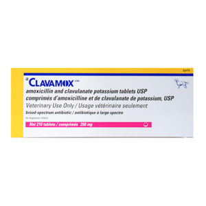 clavamox chewable dosage for cats